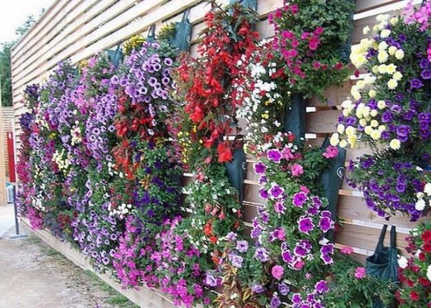 backyard-flower-ideas-81_10 Идеи за цветя в задния двор