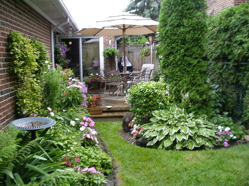 backyard-garden-plants-83 Градински растения