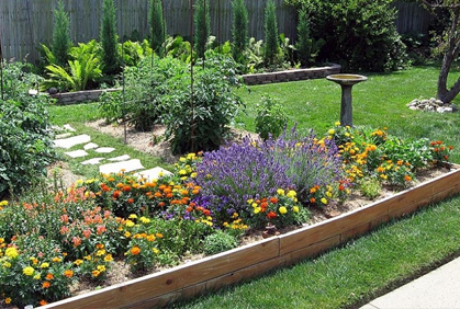 backyard-gardening-ideas-with-pictures-10_19 Идеи за градинарство в задния двор със снимки