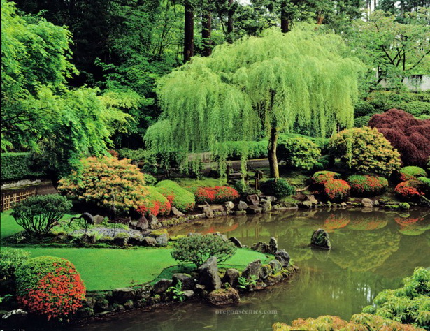 Заден двор японска градина