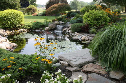 backyard-landscaping-designs-free-82_6 Двор озеленяване дизайни безплатно