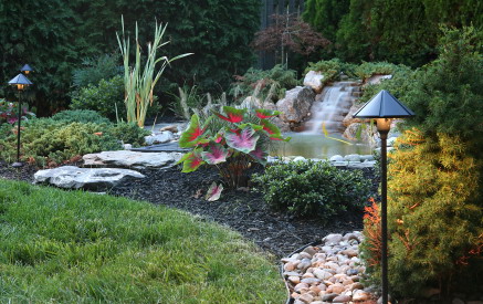 backyard-landscaping-designs-free-82_7 Двор озеленяване дизайни безплатно