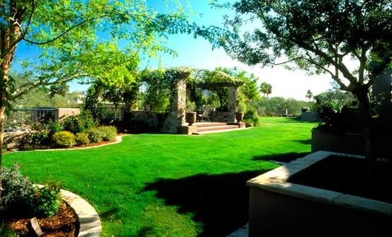 backyard-landscaping-ideas-arizona-64_9 Идеи за озеленяване на задния двор Аризона
