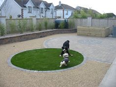 backyard-landscaping-ideas-for-dogs-07 Идеи за озеленяване на задния двор за кучета