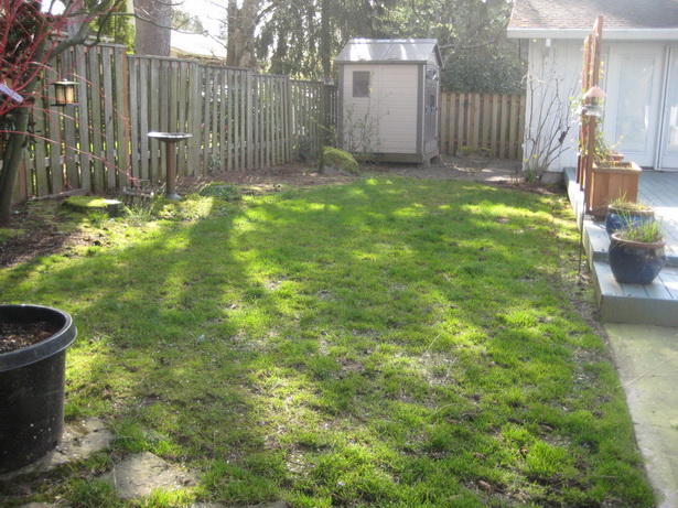 backyard-landscaping-ideas-for-dogs-07_14 Идеи за озеленяване на задния двор за кучета