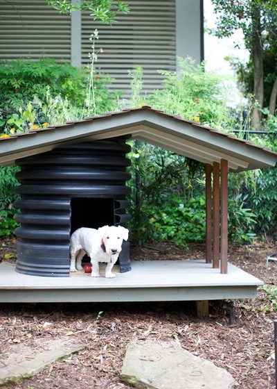 backyard-landscaping-ideas-for-dogs-07_17 Идеи за озеленяване на задния двор за кучета