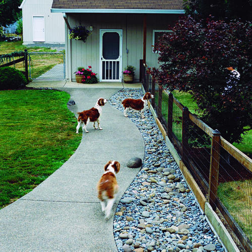 backyard-landscaping-ideas-for-dogs-07_20 Идеи за озеленяване на задния двор за кучета