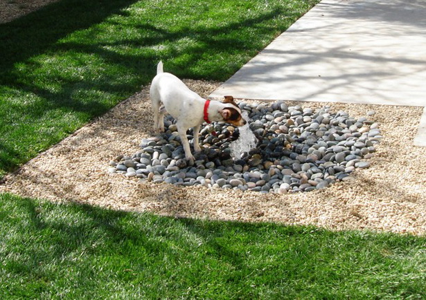 backyard-landscaping-ideas-for-dogs-07_3 Идеи за озеленяване на задния двор за кучета