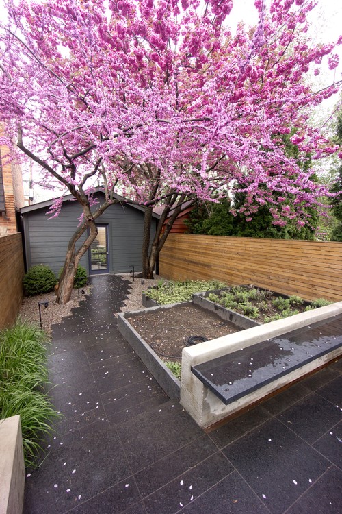 backyard-landscaping-ideas-no-grass-92_19 Идеи за озеленяване на задния двор без трева