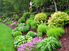 backyard-landscaping-plants-52_10 Двор озеленяване растения