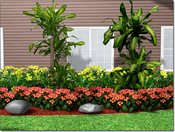 backyard-landscaping-plants-52_11 Двор озеленяване растения