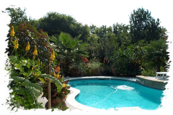 backyard-pool-and-landscaping-ideas-35_14 Градински басейн и идеи за озеленяване