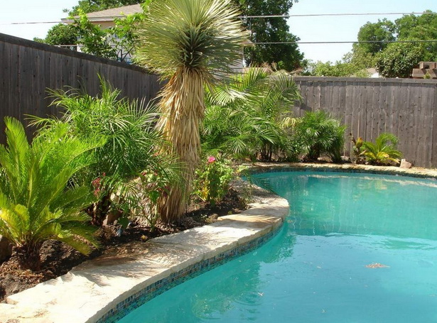 backyard-pool-landscaping-ideas-pictures-91_13 Двор басейн озеленяване идеи снимки
