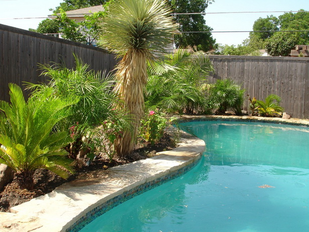backyard-swimming-pool-landscaping-ideas-59_15 Двор плувен басейн идеи за озеленяване