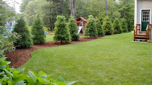 backyard-tree-ideas-95_11 Идеи за дърво в задния двор