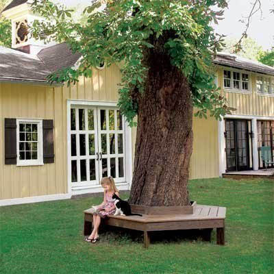 backyard-tree-ideas-95_7 Идеи за дърво в задния двор
