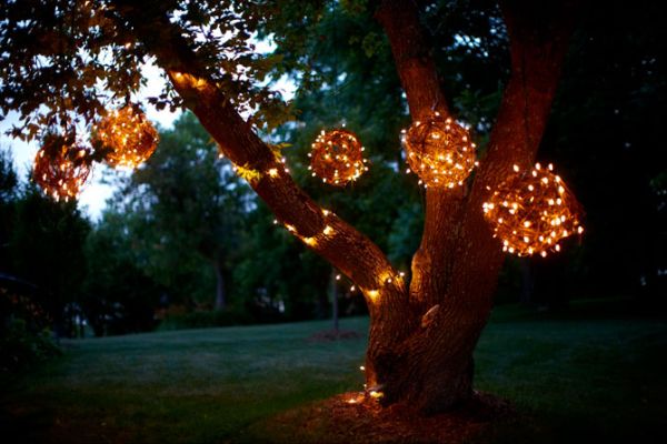 backyard-tree-lights-20_18 Задния двор дърво светлини
