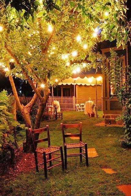 backyard-tree-lights-20_2 Задния двор дърво светлини