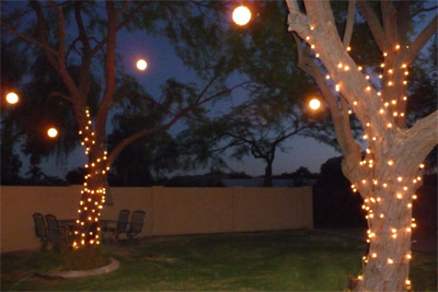 backyard-tree-lights-20_20 Задния двор дърво светлини