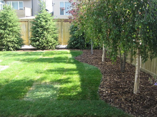 Идеи за засаждане на дървета в задния двор