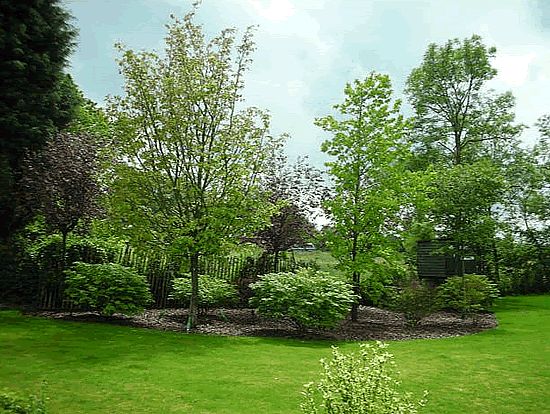 backyard-tree-planting-ideas-00_13 Идеи за засаждане на дървета в задния двор