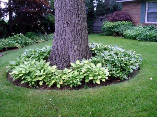 backyard-tree-planting-ideas-00_5 Идеи за засаждане на дървета в задния двор