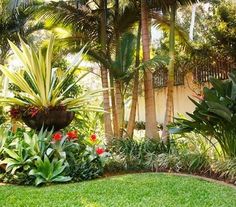 backyard-tropical-landscaping-ideas-81_13 Идеи за тропическо озеленяване в задния двор