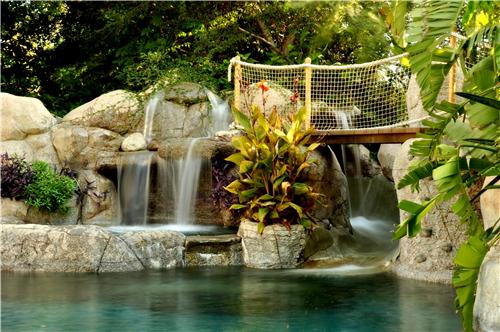 backyard-tropical-landscaping-ideas-81_20 Идеи за тропическо озеленяване в задния двор