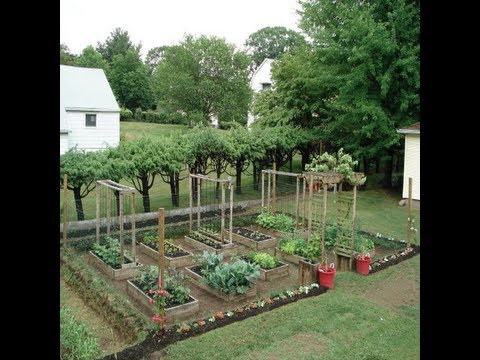 Идеи за зеленчукова градина в задния двор