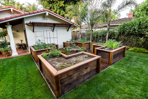 backyard-vegetable-garden-ideas-80_11 Идеи за зеленчукова градина в задния двор