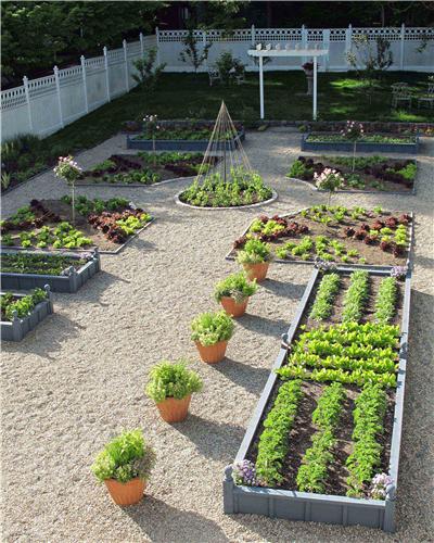 backyard-vegetable-garden-ideas-80_13 Идеи за зеленчукова градина в задния двор