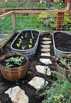 backyard-vegetable-garden-ideas-80_5 Идеи за зеленчукова градина в задния двор