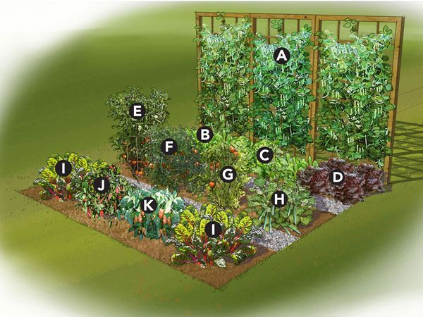 backyard-vegetable-garden-ideas-80_7 Идеи за зеленчукова градина в задния двор