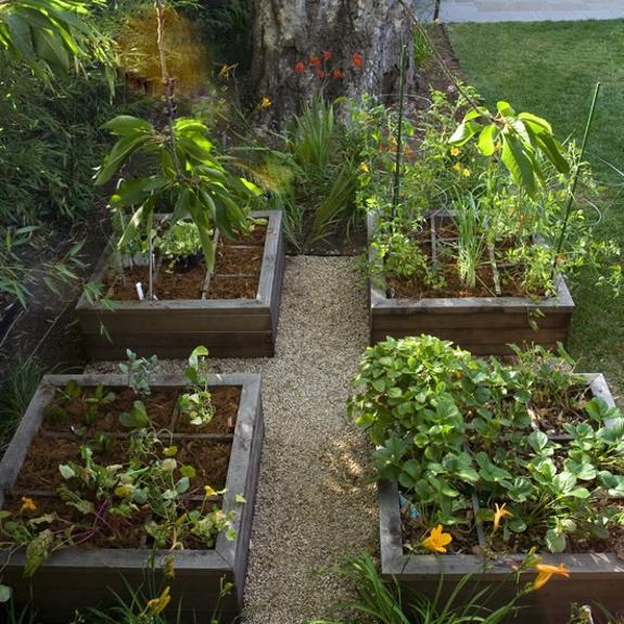 backyard-vegetable-garden-ideas-80_9 Идеи за зеленчукова градина в задния двор