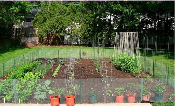 backyard-vegetable-garden-47_14 Двор зеленчукова градина