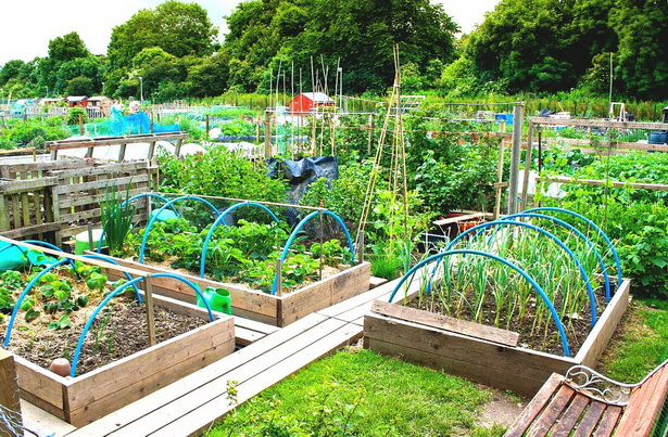 backyard-vegetable-garden-47_3 Двор зеленчукова градина