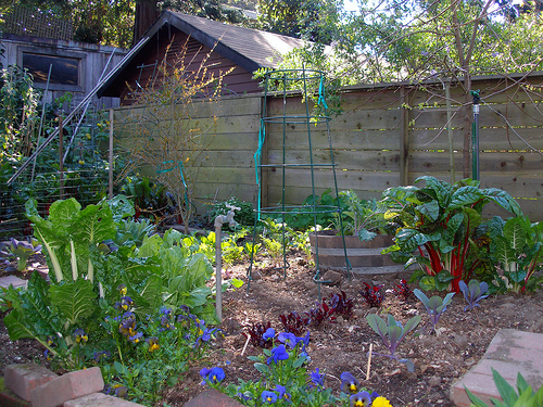 backyard-vegetable-garden-47_4 Двор зеленчукова градина