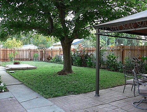 backyard-with-trees-landscaping-ideas-38_17 Двор с дървета идеи за озеленяване