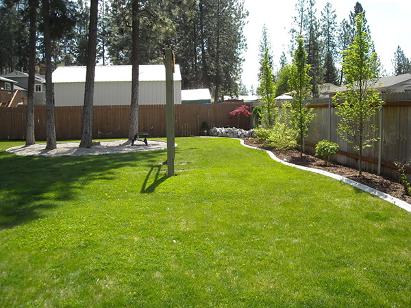 backyard-with-trees-landscaping-ideas-38_19 Двор с дървета идеи за озеленяване