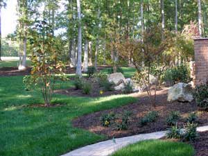 backyard-with-trees-landscaping-ideas-38_4 Двор с дървета идеи за озеленяване