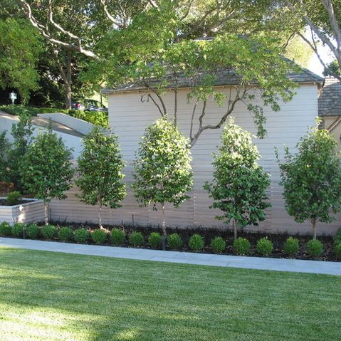 backyard-with-trees-landscaping-ideas-38_5 Двор с дървета идеи за озеленяване
