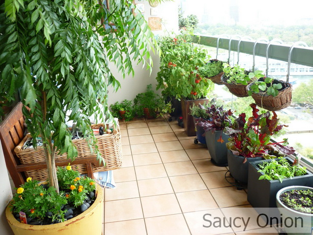 balcony-vegetable-garden-ideas-25_2 Балкон зеленчукова градина идеи