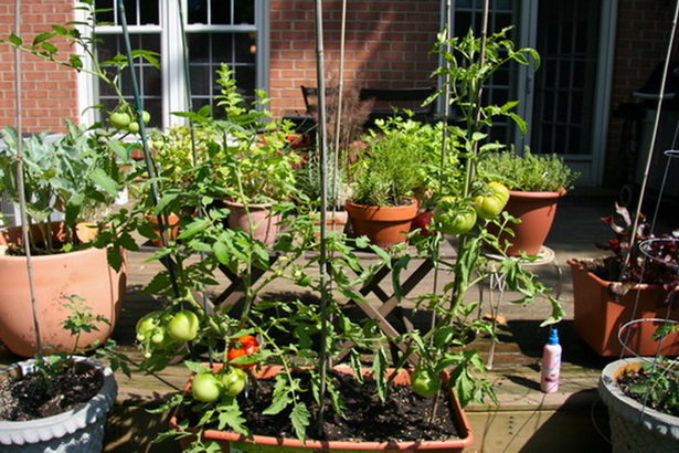 balcony-vegetable-garden-ideas-25_4 Балкон зеленчукова градина идеи