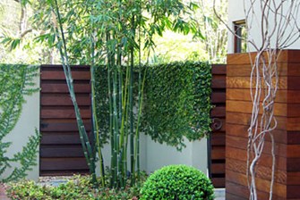 bamboo-garden-design-ideas-95_16 Бамбук градина дизайн идеи