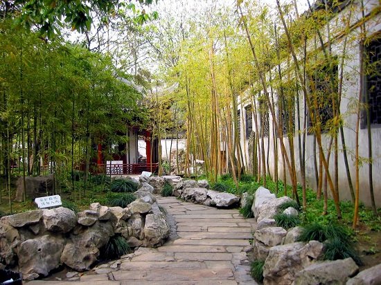 bamboo-garden-design-ideas-95_2 Бамбук градина дизайн идеи