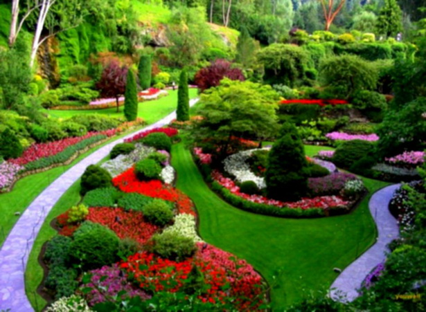 beautiful-backyard-landscaping-99_9 Красив двор озеленяване