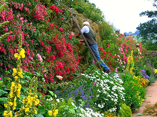 beautiful-english-gardens-63_9 Красиви английски градини