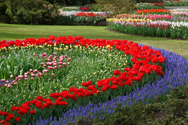 beautiful-flower-garden-layouts-72_13 Красива цветна градина оформления
