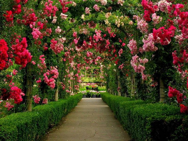 Красиви градини