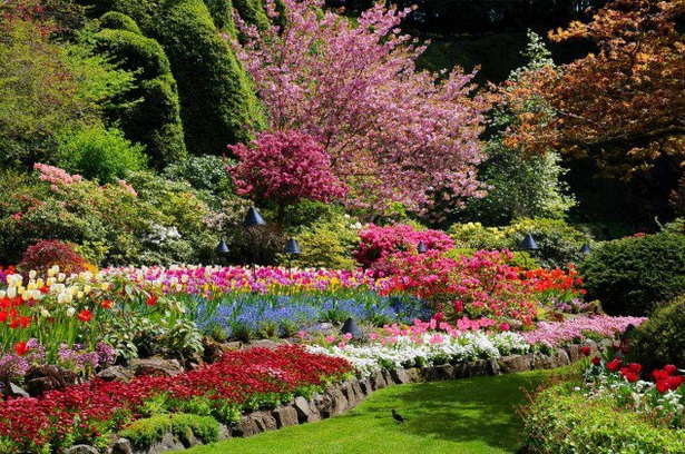 beautiful-gardens-50_2 Красиви градини